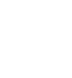 logo studio medico legale Niccolai Lazzaro